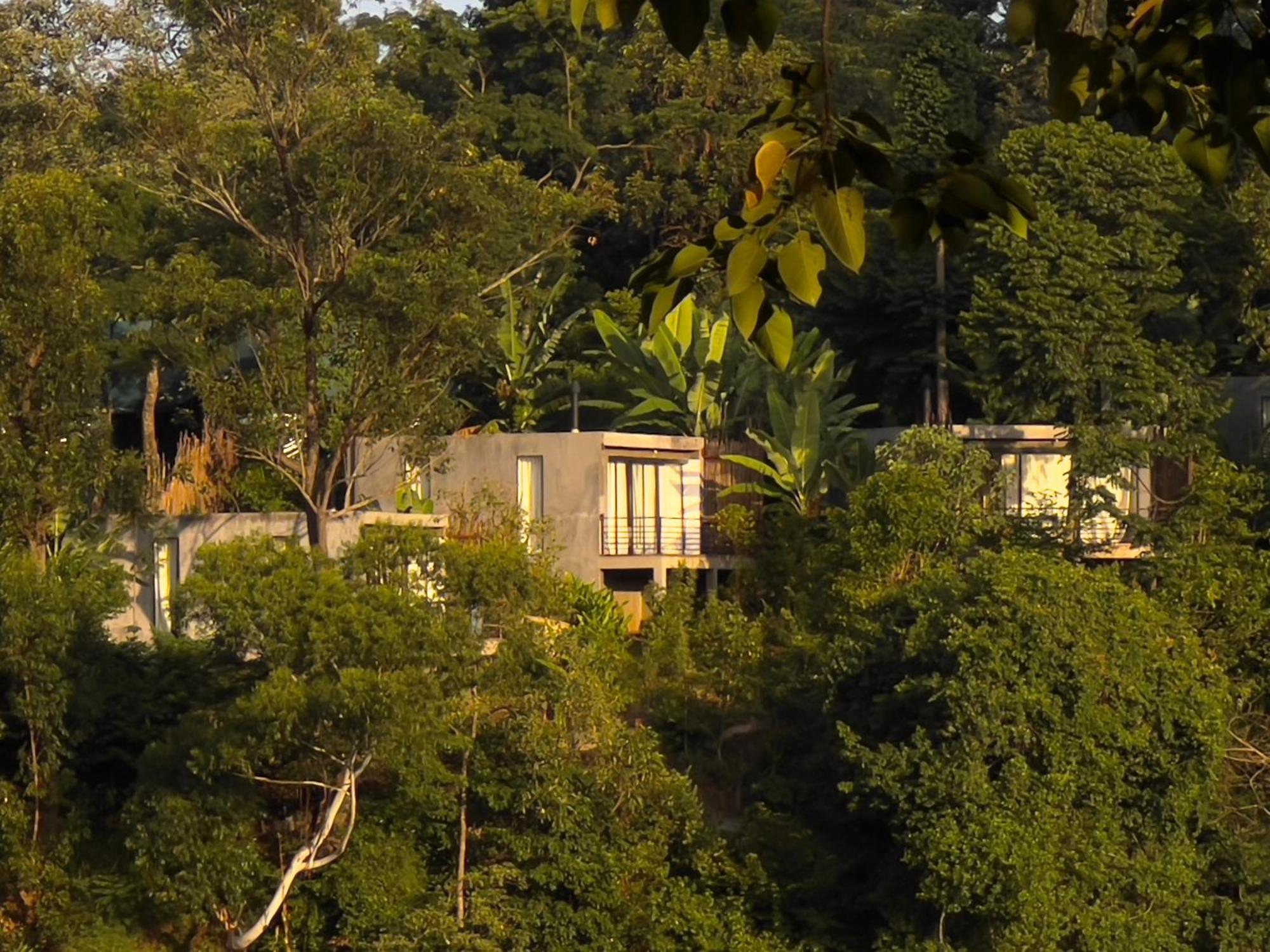 Kaliwa Lodge Moshi Exteriör bild